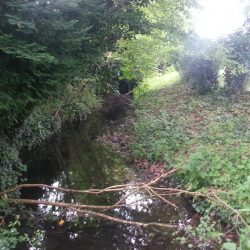 RESTAURATION DU LIT ET DES BERGES DU RUISSEAU DU LAVOIR