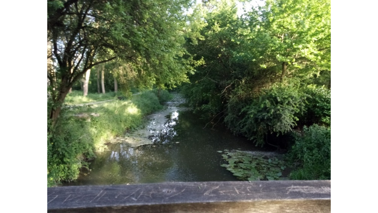 pont